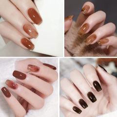 Autumn &Winter glaze gel