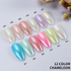 12 COLOR CHAMELEON