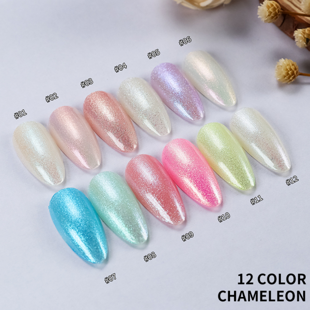 12 COLOR CHAMELEON