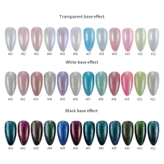 12 COLOR CHAMELEON