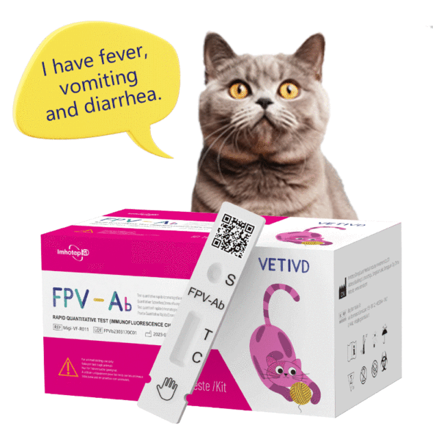 FPV -Ab Feline Rapid Tests(FIA)