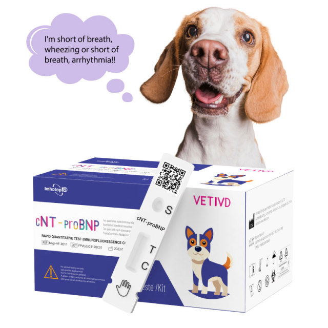 Test Rapidi cNT-proBNP (FIA) | Test quantitativo rapido del peptide natriuretico pro-cervello N-terminale canino (cNT-proBNP) | VETIVD™ cNT-proBNP 15minuti per ottenere i risultati