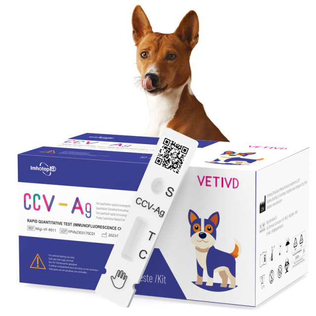 CCV-Ag Canine Rapid Tests(FIA) | Canine Coronavirus Antigen (CCV-Ag) Rapid Quantitative Test | VETIVD™ CCV-Ag  10 minutes to detect results