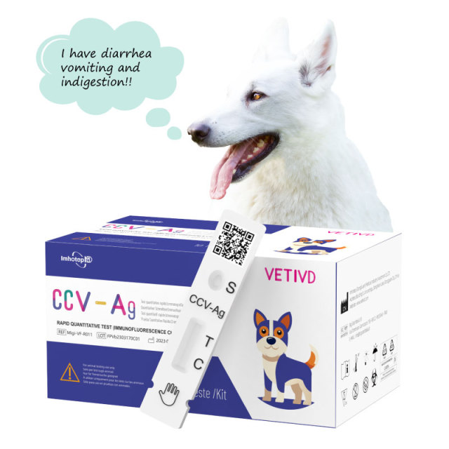 CCV-Ag Canine Rapid Tests(FIA) | Canine Coronavirus Antigen (CCV-Ag) Rapid Quantitative Test | VETIVD™ CCV-Ag  10 minutes to detect results