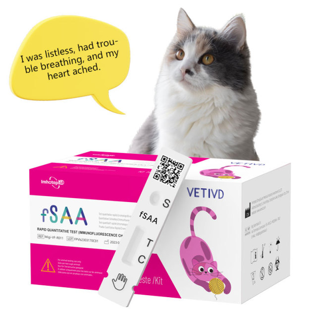 fSAA Feline Rapid Tests(FIA) | Feline Serum Amyloid A (fSAA) Rapid Quantitative Test | VETIVD™ fSAA 5 minutes to detect results