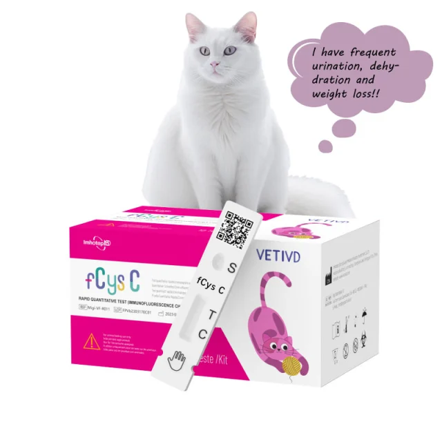 feline rapid tests