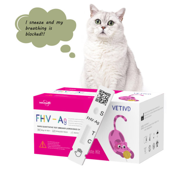 FHV-Ag Feline Rapid Tests(FIA) | Feline Herpes Virus Antigen (FHV-Ag) Rapid Quantitative Test | VETIVD™ FHV-Ag 10 minutes to detect results