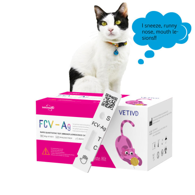 FCV-Ag Feline Rapid Tests(FIA) | Feline Calicivirus Antigen (FCV-Ag) Rapid Quantitative Test | VETIVD™ FCV-Ag 10 minutes to detect results
