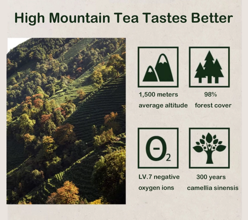 OGANIC CHINESE WHITE TEA HIGH MOUNTAIN TEA