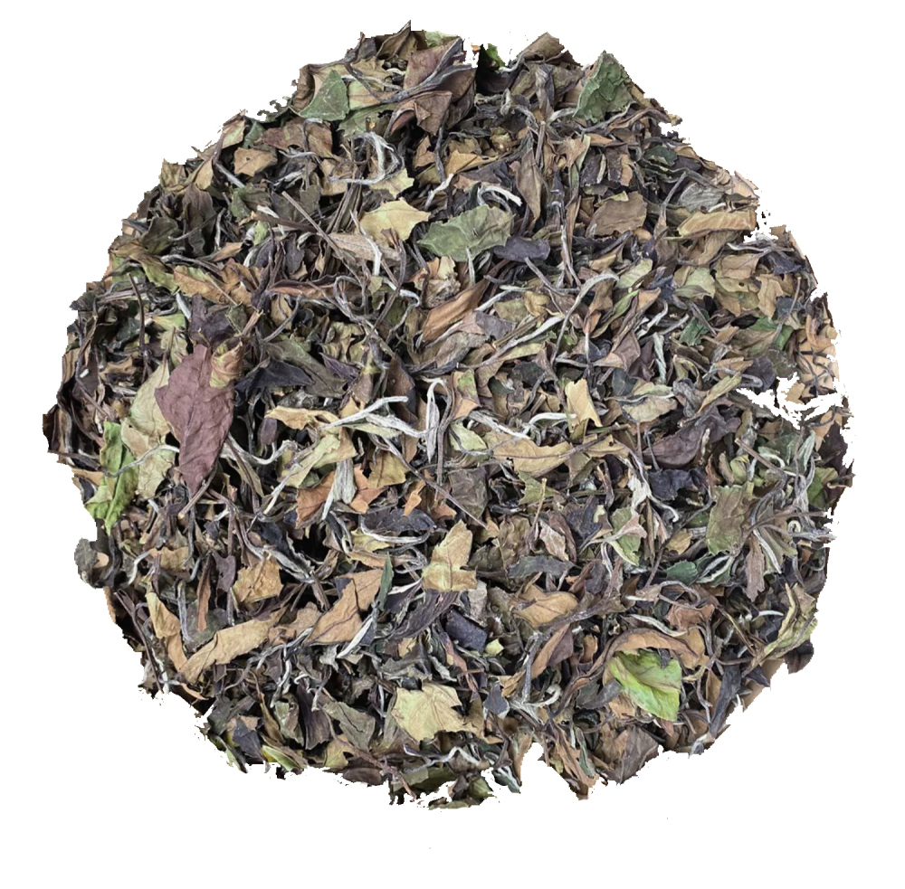 OGANIC CHINESE WHITE TEA HIGH MOUNTAIN TEA
