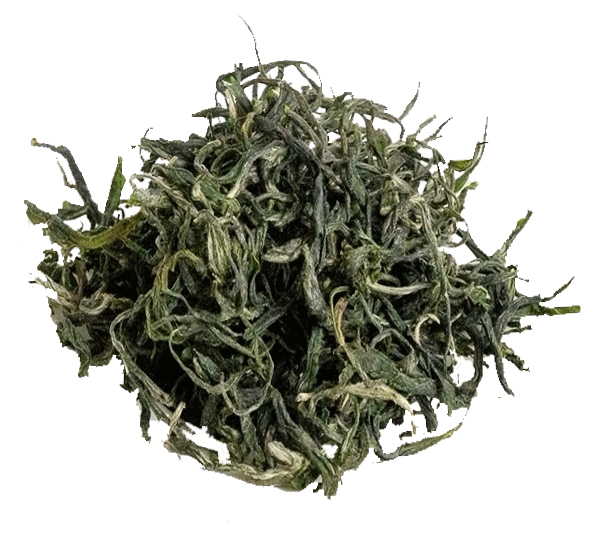 HQ01 Organic Green Tea Roasted green tea 1# Grade