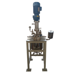 2L high pressure lab reactor