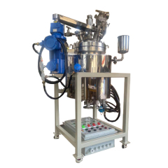 50L high pressure reactor with side motor drive