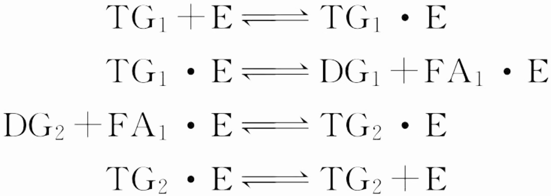 the catalytic mechanism of the enzymatic transesterification process
