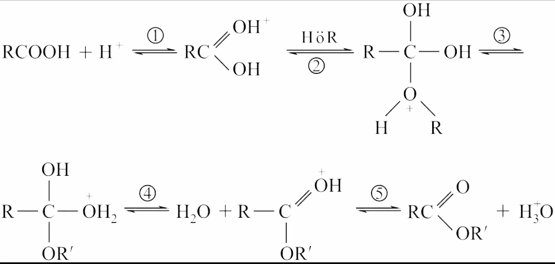 schematic reaction formula