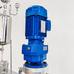 Low pressure high temperature laboratory reactor system for Esterification made by stainless steel