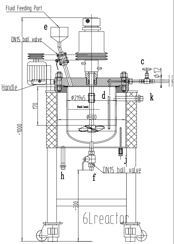 drawing of 6 liters reactor