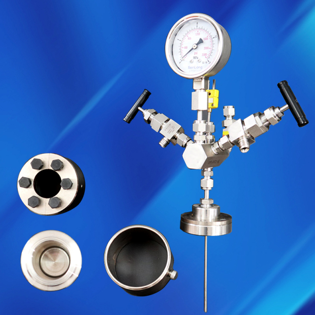 100 ml micro stainless steel high pressure PTFE hydrothermal synthesis reactor