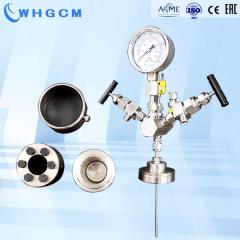 100 ml micro stainless steel high pressure PTFE hydrothermal synthesis reactor