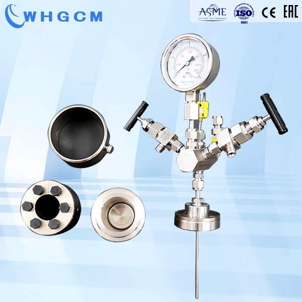 100 ml micro stainless steel high pressure PTFE hydrothermal synthesis reactor