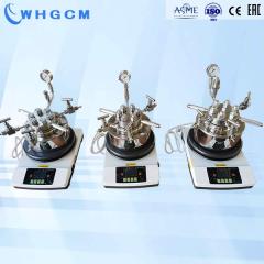 0.1L 0.2L mini lab reactor with magnetic stirred flatform