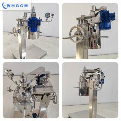 2L stainless steel lab reactor for oil industry