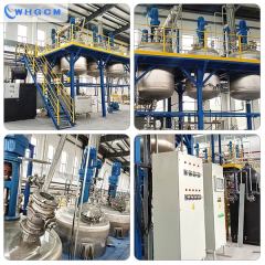 Sequence batch reactor system for polyetherketoneketone