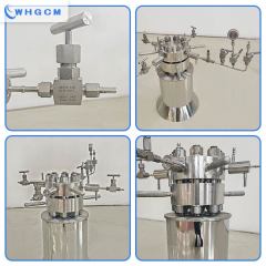 0.5L high pressure lab reactor