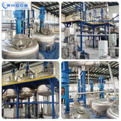 Sequence batch reactor system for polyetherketoneketone