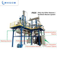 Sequence batch reactor system for polyetherketoneketone