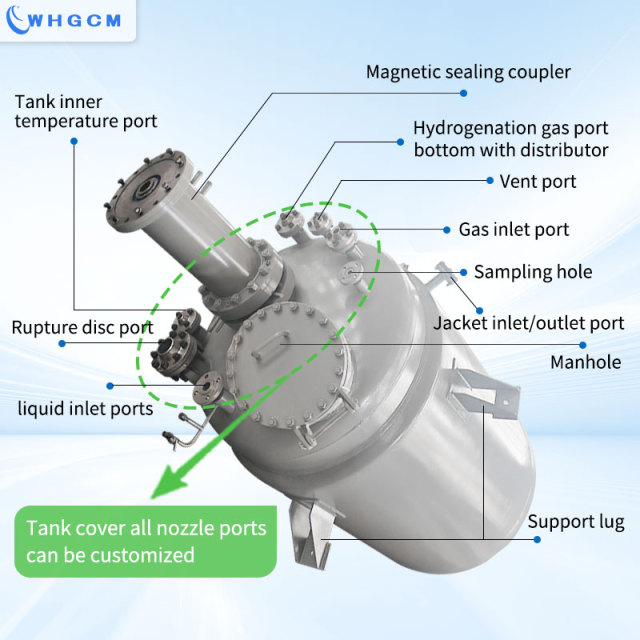 3000L  jacket heating hydrogenation Industrial  Reactor with agitator