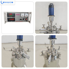 1L high pressure Magnetic Sealed Electric heating SS304 Lab Reactor