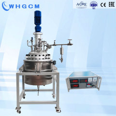 Whgcm ASME-U CE-PED EAC-Coc Custom Stainless Steel SS316L SS304 Jacket Heating Pilot Polymer Pressure Chemical Reactor