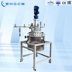 Whgcm ASME CE EAC DOSH Certified SS316L100L Jacket Electric Heating Pilot Pressure Reactor for Chemical Reaction