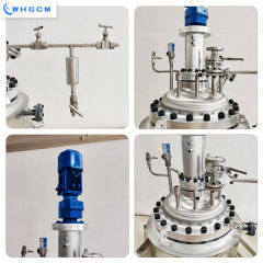 Whgcm ASME-U CE-PED EAC-Coc Custom Stainless Steel SS316L SS304 Jacket Heating Pilot Polymer Pressure Chemical Reactor