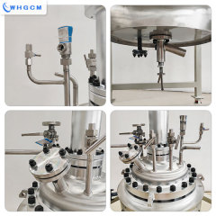 Whgcm ASME CE EAC DOSH Certified SS316L100L Jacket Electric Heating Pilot Pressure Reactor for Chemical Reaction