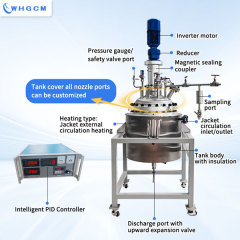 Whgcm ASME-U CE-PED EAC-Coc Custom Stainless Steel SS316L SS304 Jacket Heating Pilot Polymer Pressure Chemical Reactor