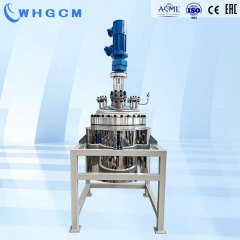 WHGCM New ASME-U 200L Explosion-Proof Stainless Steel Pilot Reactor with PID