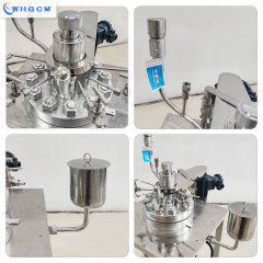 EAC CE Certified 10L Explosion-Proof Jacketed Magnetic Sealed Hastelloy Hydrogenation Reactor with Automatic Controller