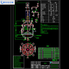 WHGCM ASME-U Custom 250L Stainless Steel Chemical Pilot Reactor with Mechanical sealed Coupler Stirrer