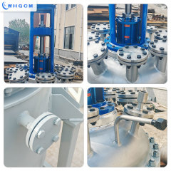 WHGCM ASME-U Custom 250L Stainless Steel Chemical Pilot Reactor with Mechanical sealed Coupler Stirrer
