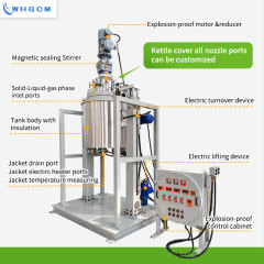 ASME-U CE-PED EAC-COC DOSH 200L High-pressure Resistant Vessel Hydrometallurgy Reactor with PID Intelligent Automatic Control