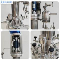 EAC CE Certified 5L Stainless Steel Jacket Heating Lab Chemical Pressure Hydrometallurgy Reactor With Magnetic Sealing Coupler