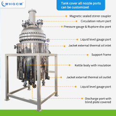 ASME-U CE-PED EAC-COC 500L High Temperature Stainless Steel Jacketed Hydrometallurgy Reactor with Explosion-proof Motor