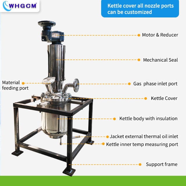 24L Lab Pressure Vessel High Temperature Pressure Magnetic Sealed Stainless Steel Reactor With Mechanical Seal Coupler