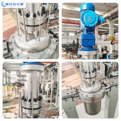 ASME-U CE-PED EAC-COC 50L High Temperature Stainless Steel SS304 Hydrometallurgy Reactor with Explosion-proof Motor