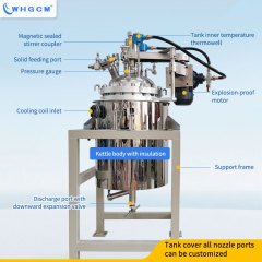 WHGCM New 50L High Temperature Stainless Steel Jacket Heating Reactor with explosion-proof motor and Magnetic sealing coupler