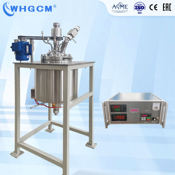 Whgcm ASME-U EAC Factory Price 8L Magnetic Sealed High Temperature Stainless Steel Lab Chemical Reactor with PID PLC
