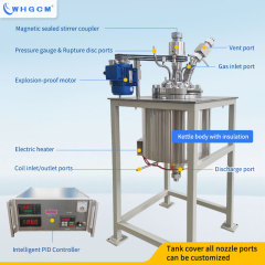 Whgcm ASME-U EAC Factory Price 8L Magnetic Sealed High Temperature Stainless Steel Lab Chemical Reactor with PID PLC