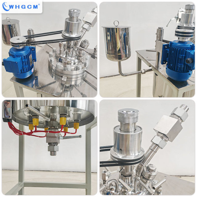 Whgcm ASME-U EAC Factory Price 8L Magnetic Sealed High Temperature Stainless Steel Lab Chemical Reactor with PID PLC